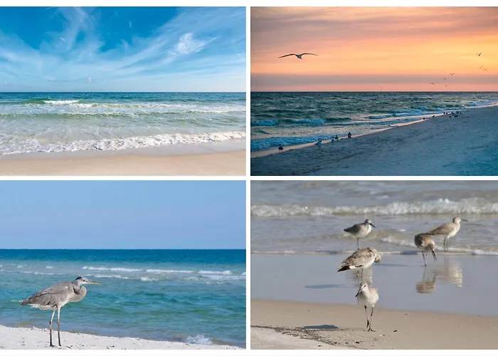 Island Winds West Unit 880 Holiday home Gulf Shores